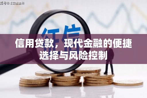 房县信用贷款，现代金融的便捷选择与风险控制