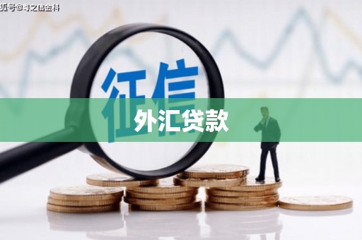 房县外汇贷款