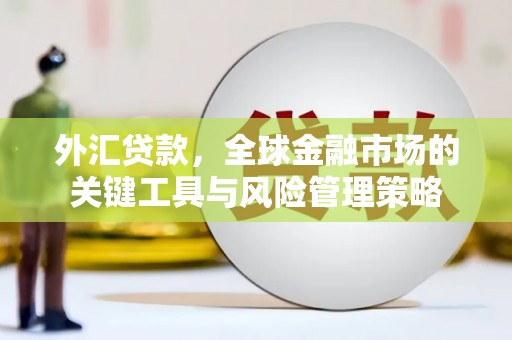 房县外汇贷款，全球金融市场的关键工具与风险管理策略