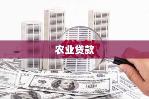 房县农业贷款