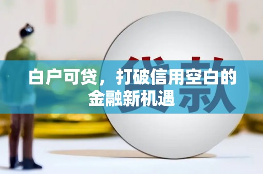 房县白户可贷，打破信用空白的金融新机遇