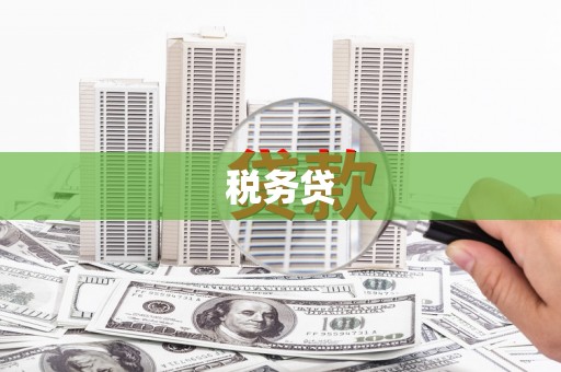 房县税务贷