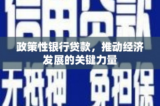 房县政策性银行贷款，推动经济发展的关键力量