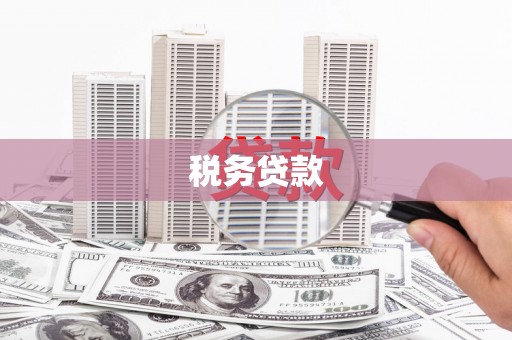 房县税务贷款