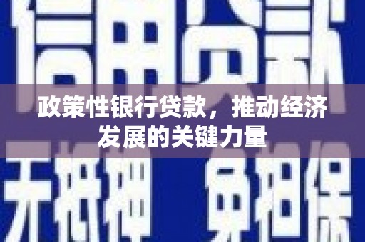 房县政策性银行贷款，推动经济发展的关键力量