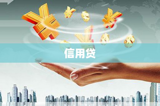 房县信用贷