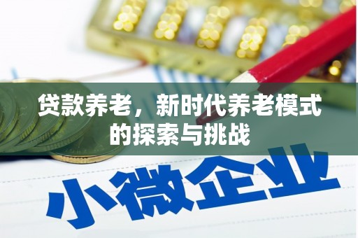 房县贷款养老，新时代养老模式的探索与挑战