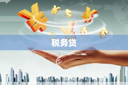 房县税务贷