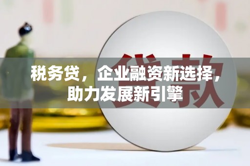 房县税务贷，企业融资新选择，助力发展新引擎