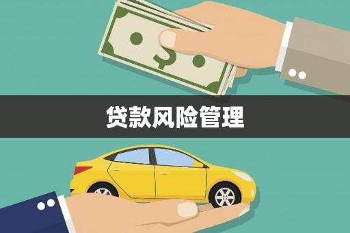 房县贷款风险管理
