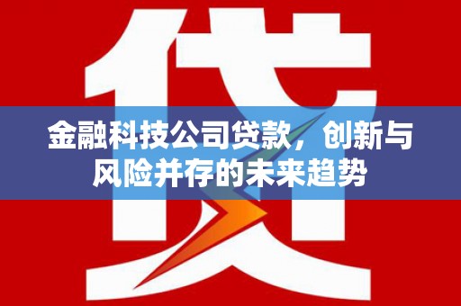 房县金融科技公司贷款，创新与风险并存的未来趋势