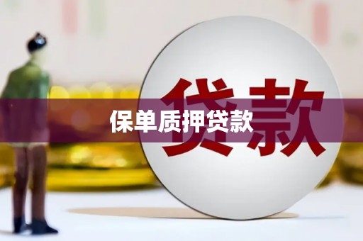 房县保单质押贷款