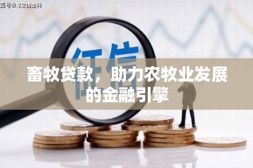 房县畜牧贷款，助力农牧业发展的金融引擎