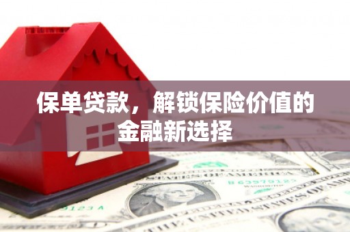 房县保单贷款，解锁保险价值的金融新选择