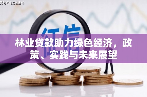 房县林业贷款助力绿色经济，政策、实践与未来展望