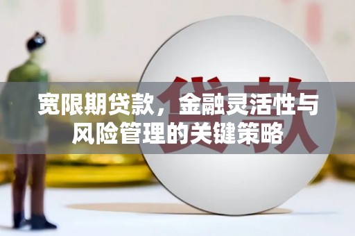 房县宽限期贷款，金融灵活性与风险管理的关键策略