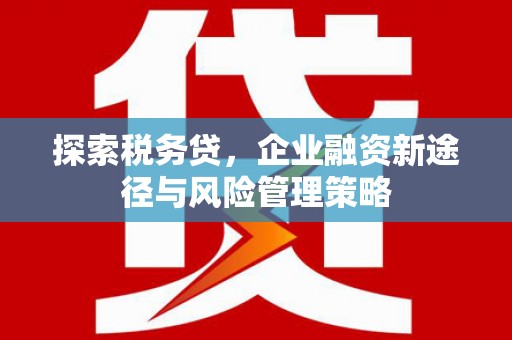 房县探索税务贷，企业融资新途径与风险管理策略