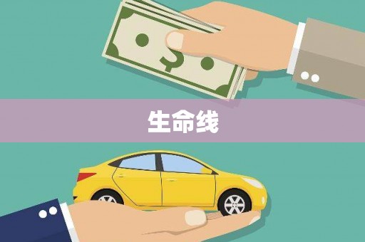房县生命线