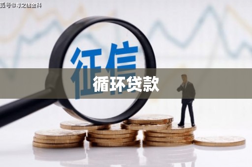 房县循环贷款