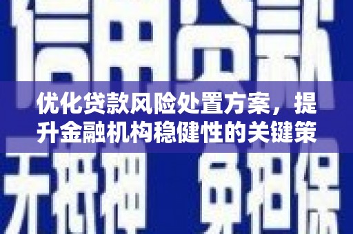 房县优化贷款风险处置方案，提升金融机构稳健性的关键策略