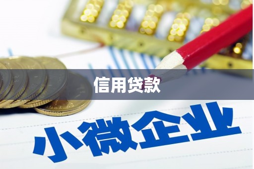 房县信用贷款