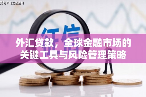 房县外汇贷款，全球金融市场的关键工具与风险管理策略
