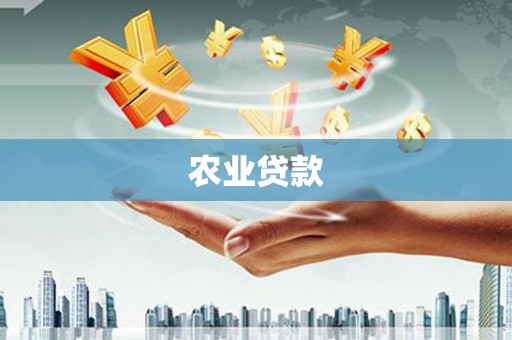 房县农业贷款