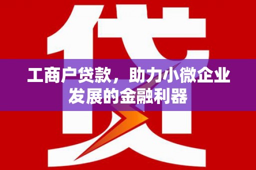 房县工商户贷款，助力小微企业发展的金融利器