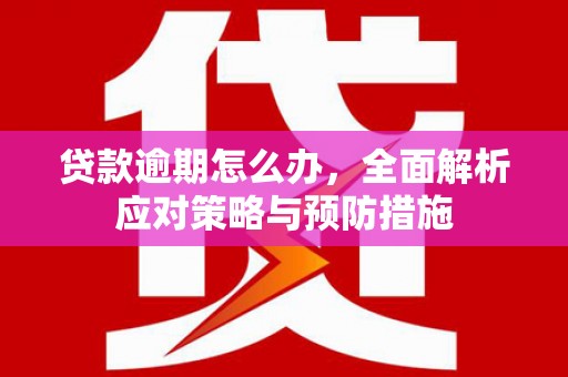 房县贷款逾期怎么办，全面解析应对策略与预防措施