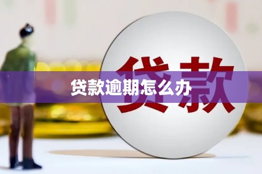 房县贷款逾期怎么办