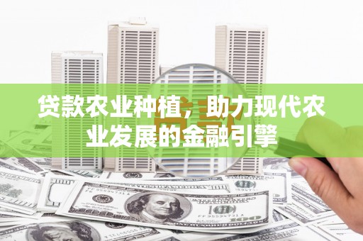 房县贷款农业种植，助力现代农业发展的金融引擎