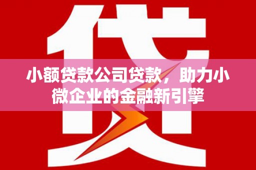 房县小额贷款公司贷款，助力小微企业的金融新引擎