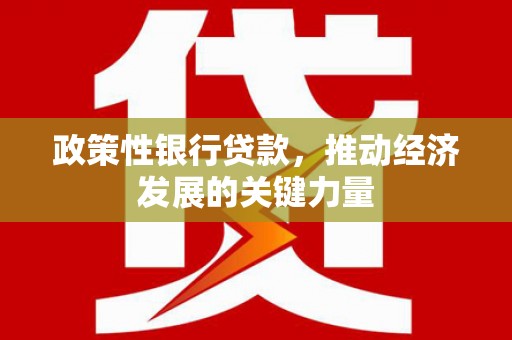 房县政策性银行贷款，推动经济发展的关键力量