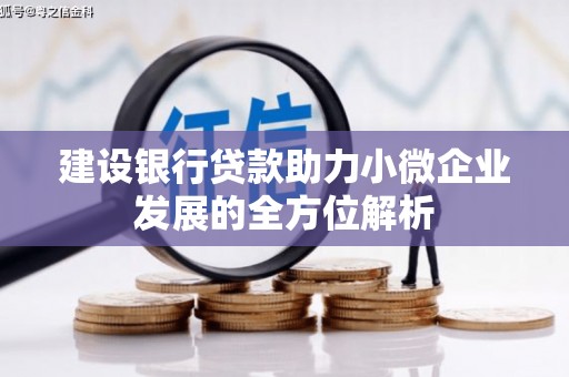 房县建设银行贷款助力小微企业发展的全方位解析