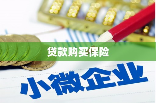 房县贷款购买保险