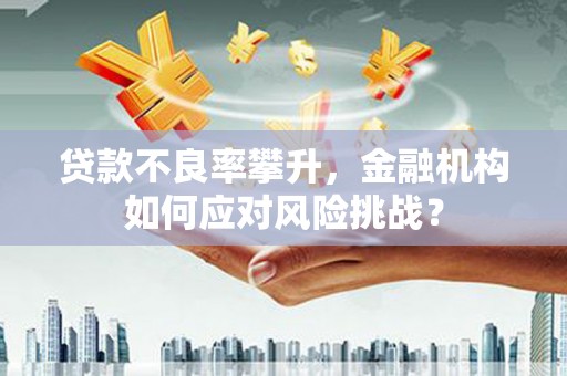 房县贷款不良率攀升，金融机构如何应对风险挑战？