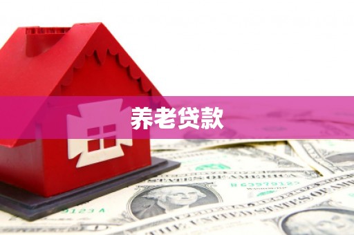 房县养老贷款