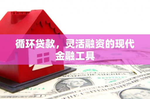 房县循环贷款，灵活融资的现代金融工具