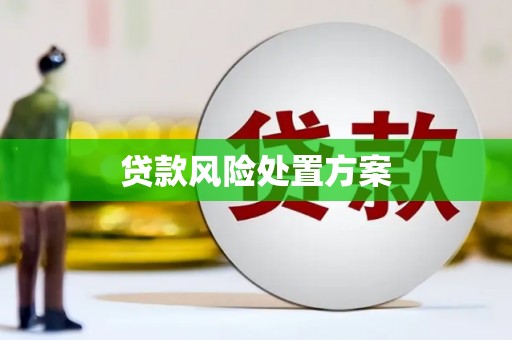 房县贷款风险处置方案