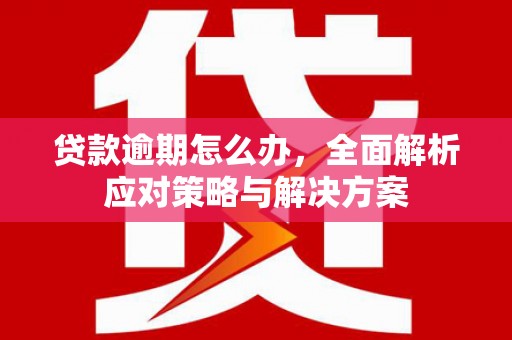 房县贷款逾期怎么办，全面解析应对策略与解决方案