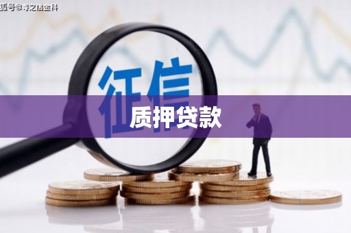 房县质押贷款