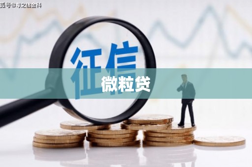 房县微粒贷