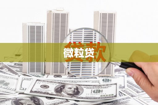 房县微粒贷