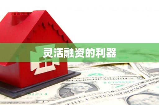 房县灵活融资的利器